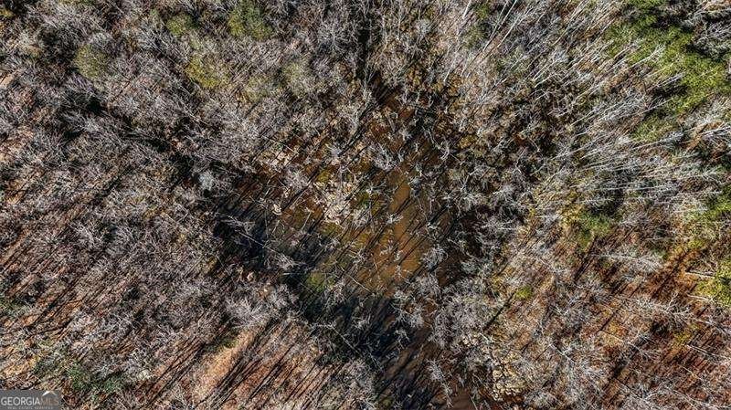 1768 McGarity Road Temple - Photo 38