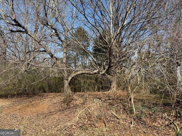 1570 Historic Homer Highway Homer - Photo 25