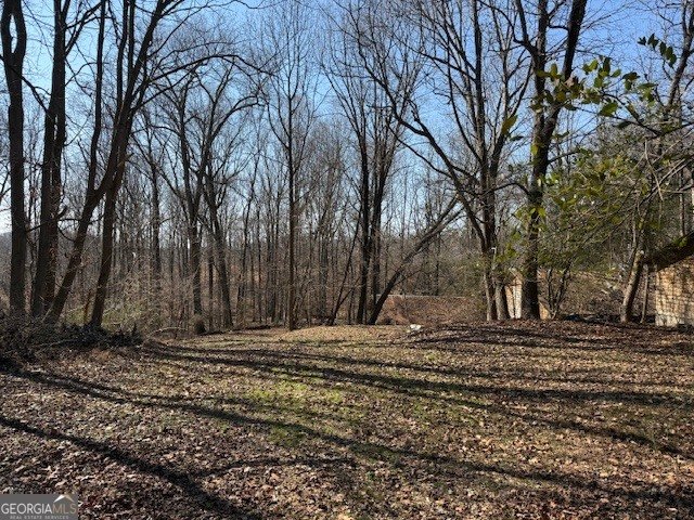 1570 Historic Homer Highway Homer - Photo 27