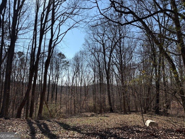 1570 Historic Homer Highway Homer - Photo 32