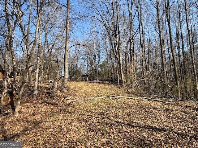 1570 Historic Homer Highway Homer - Photo 38