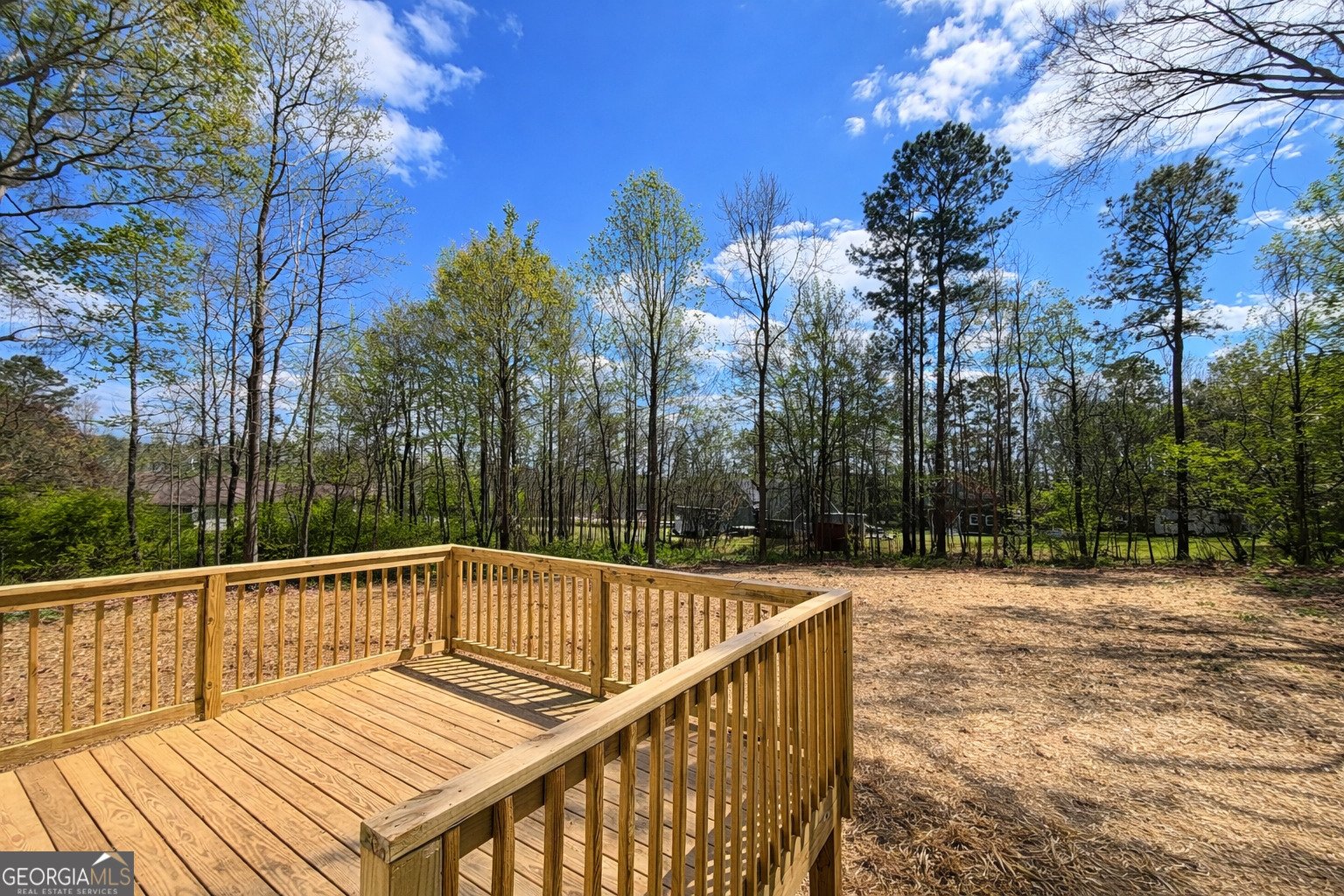 204 Custer Circle Griffin - Photo 25