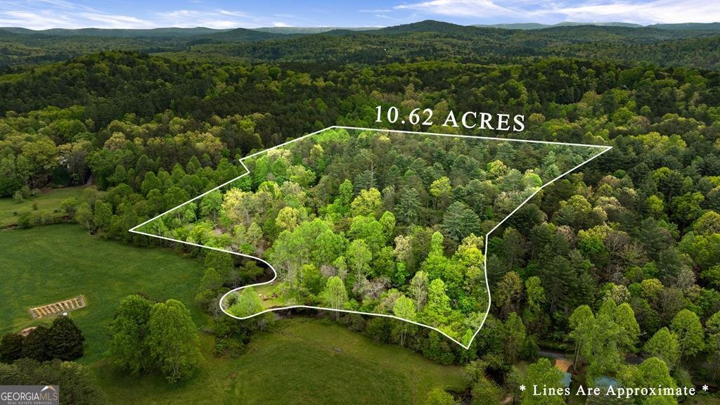 390 Sunnybrook Road Blue Ridge - Photo 48