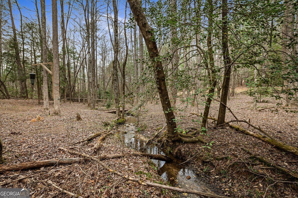 390 Sunnybrook Road Blue Ridge - Photo 49