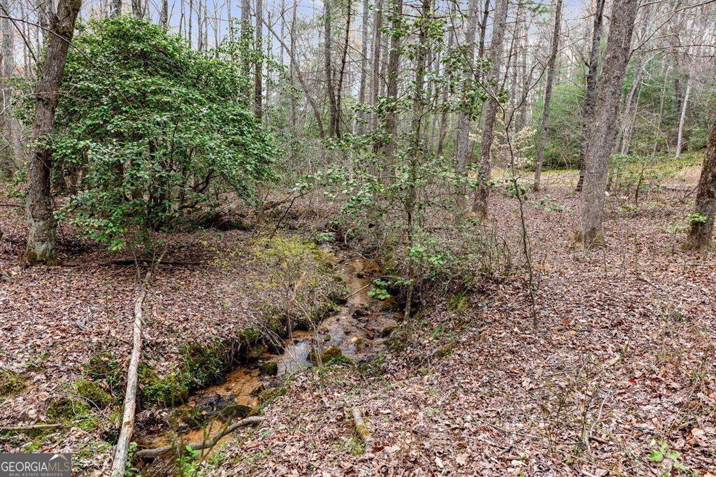 390 Sunnybrook Road Blue Ridge - Photo 50