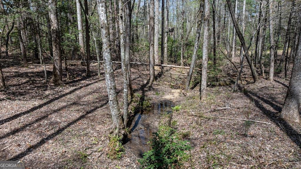 390 Sunnybrook Road Blue Ridge - Photo 51