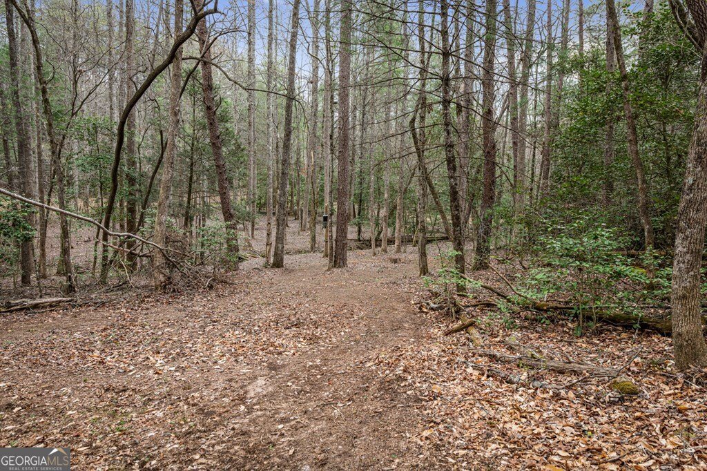 390 Sunnybrook Road Blue Ridge - Photo 52