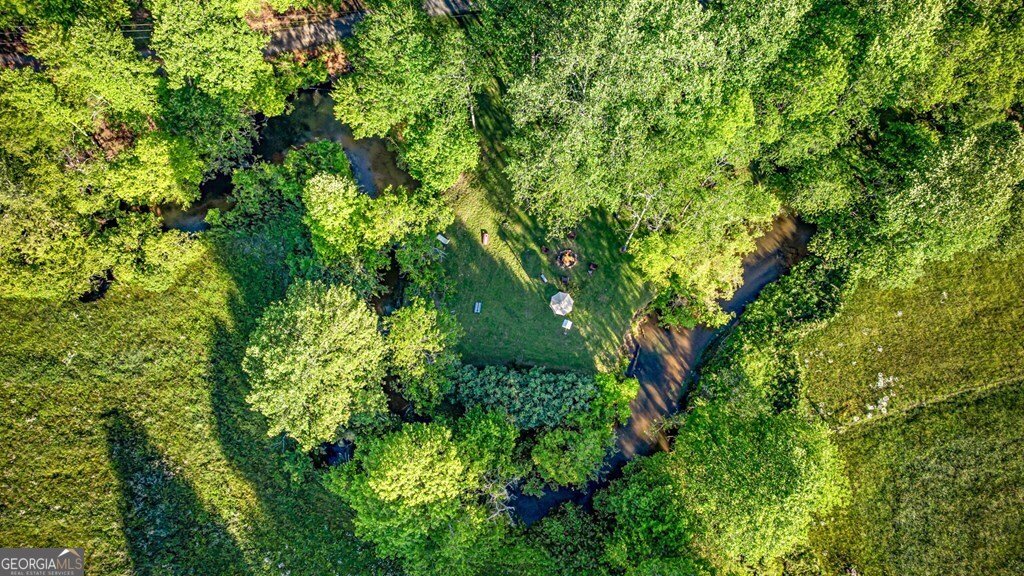 390 Sunnybrook Road Blue Ridge - Photo 55