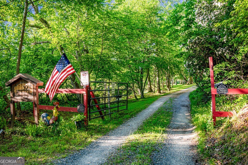 390 Sunnybrook Road Blue Ridge - Photo 59