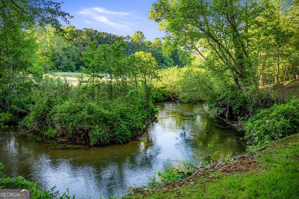 390 Sunnybrook Road Blue Ridge - Photo 64