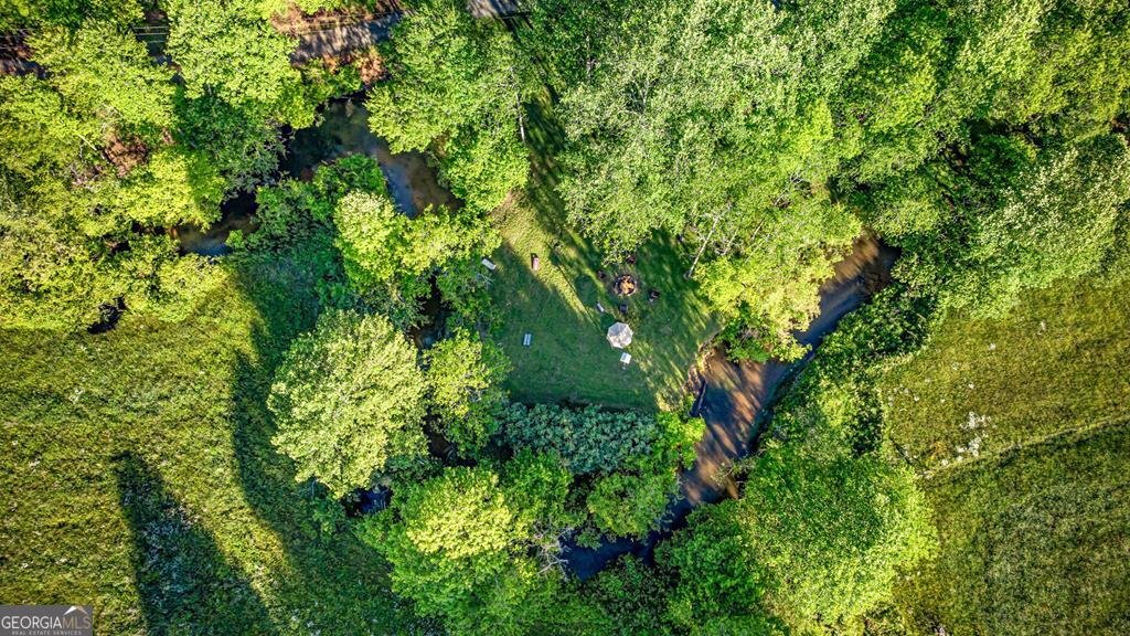 390 Sunnybrook Road Blue Ridge - Photo 68