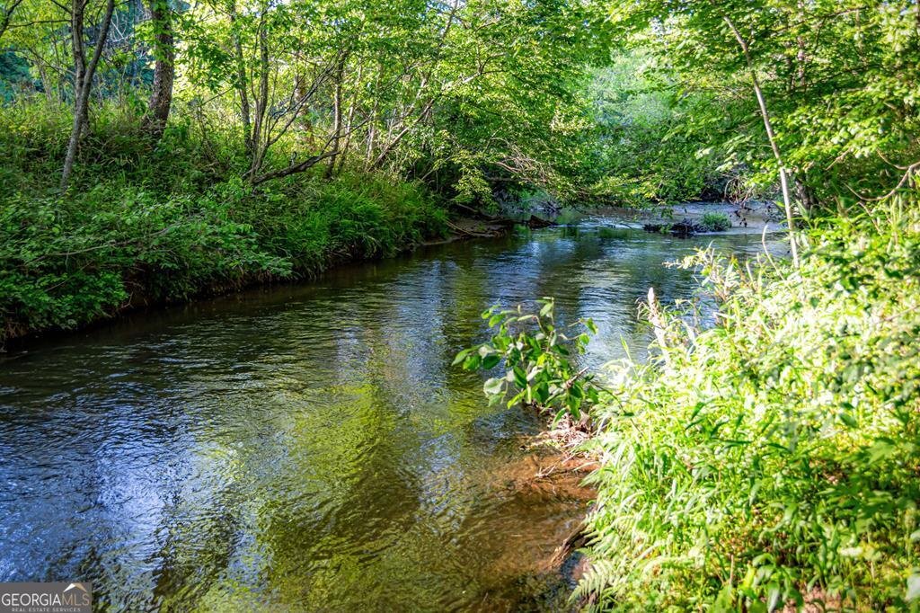 390 Sunnybrook Road Blue Ridge - Photo 69