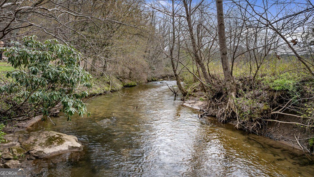 390 Sunnybrook Road Blue Ridge - Photo 7