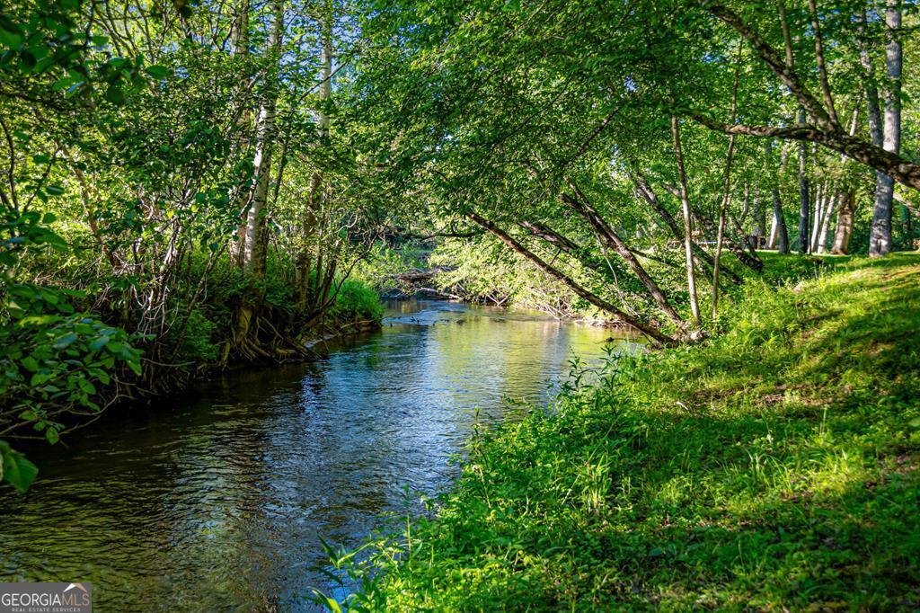 390 Sunnybrook Road Blue Ridge - Photo 70