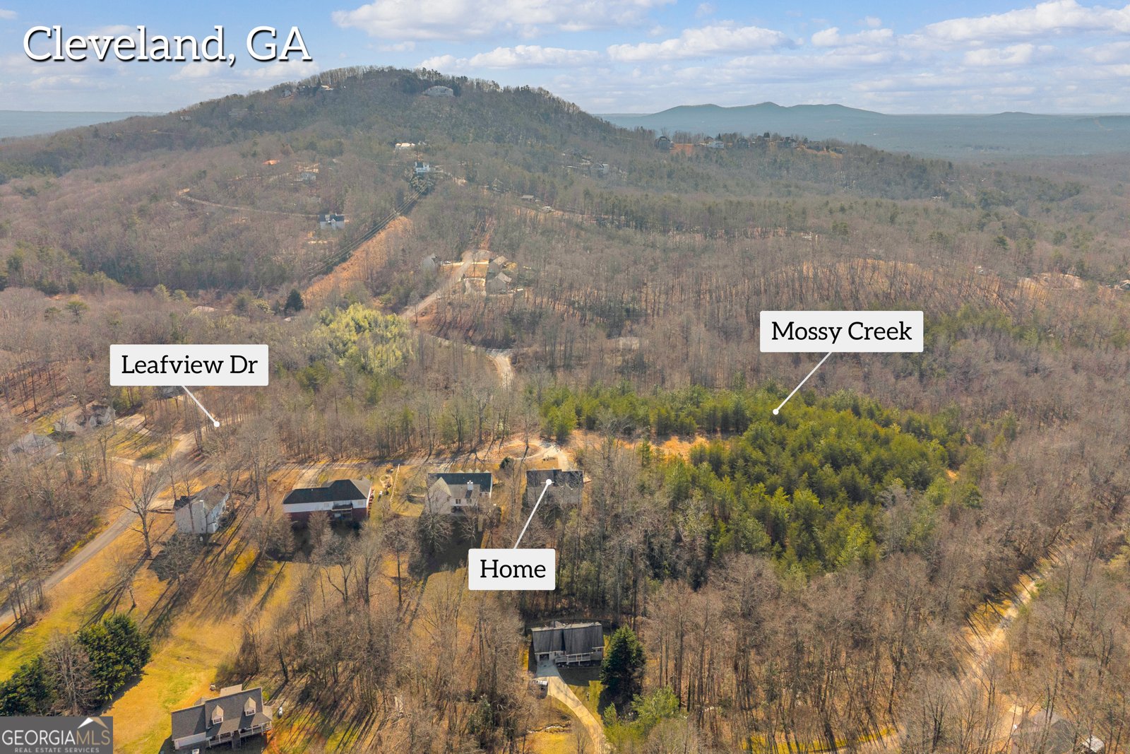 76 Cottonwood Lane Cleveland - Photo 75