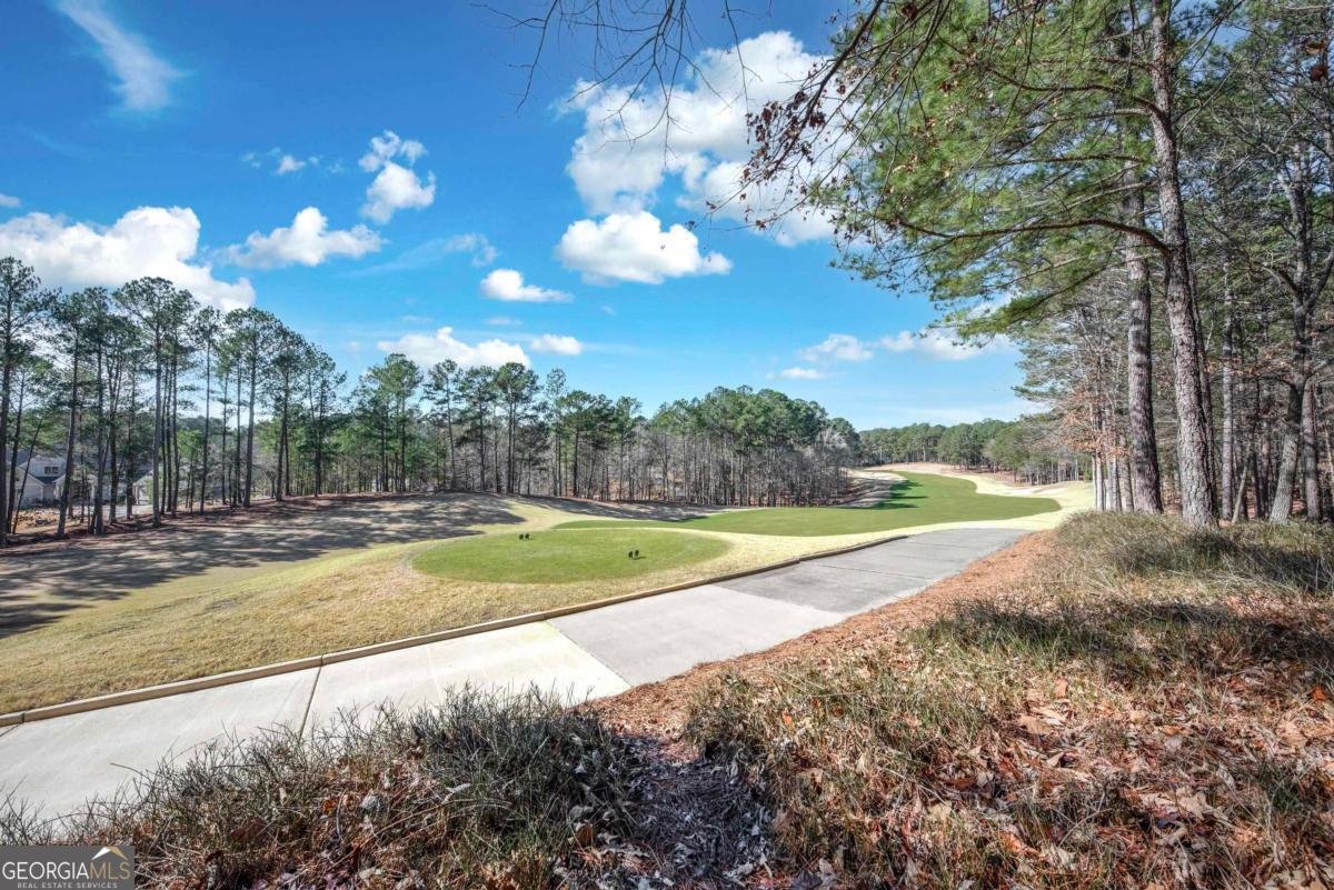 1050 Reubens Court Greensboro - Photo 42