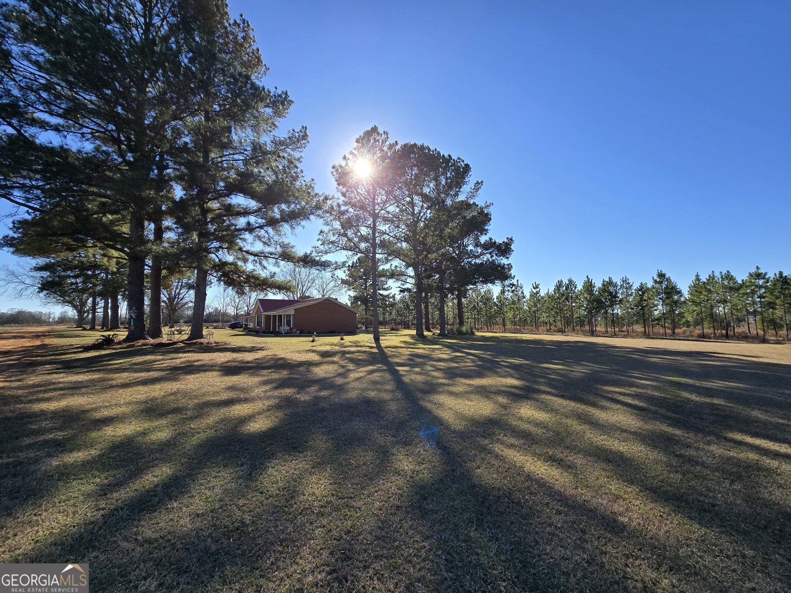 479 Mitchell Loop Bluffton - Photo 9