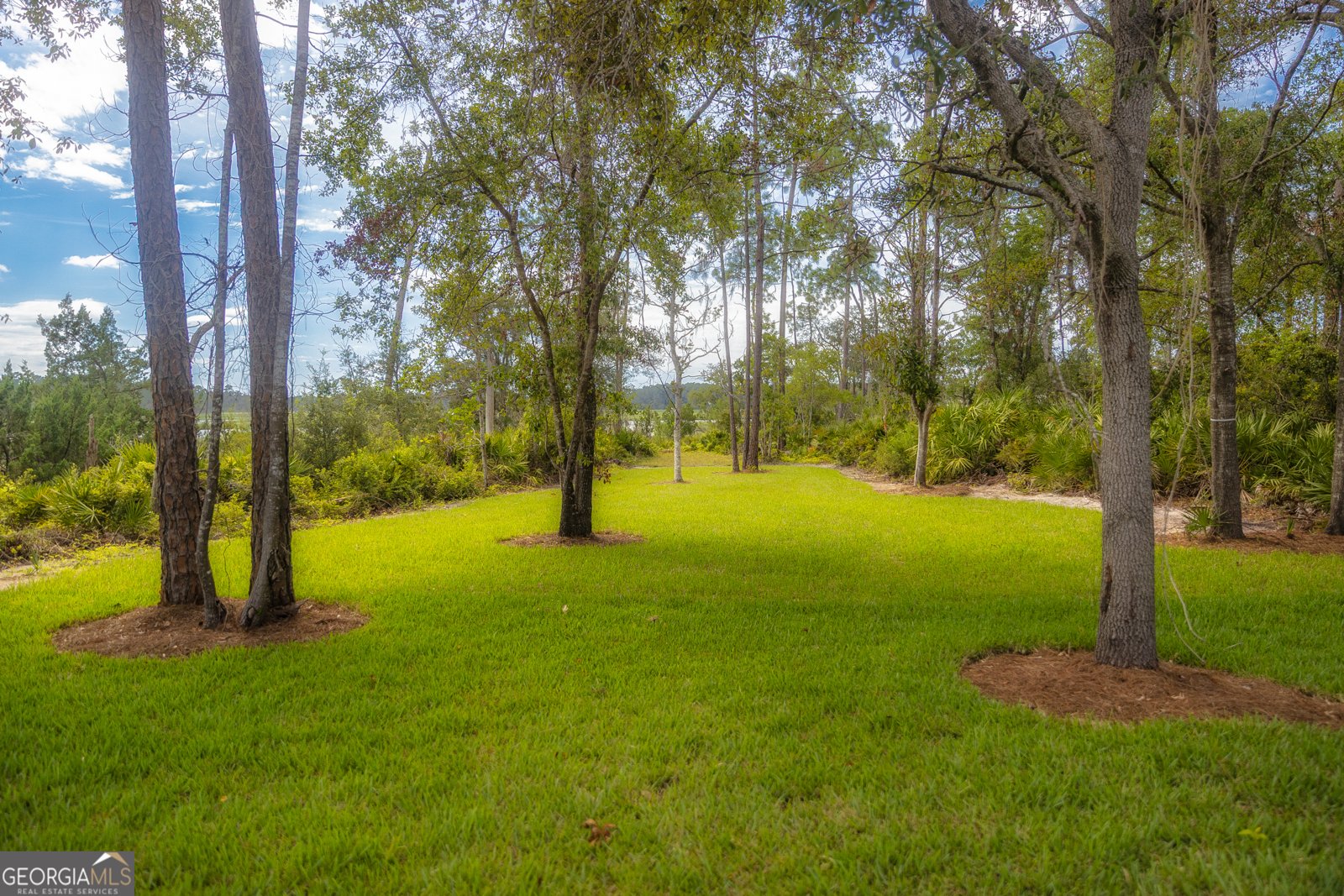 87 Lighthouse Way Woodbine - Photo 11