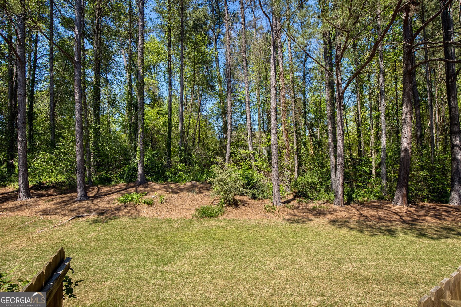 545 Canton Walk Roswell - Photo 118