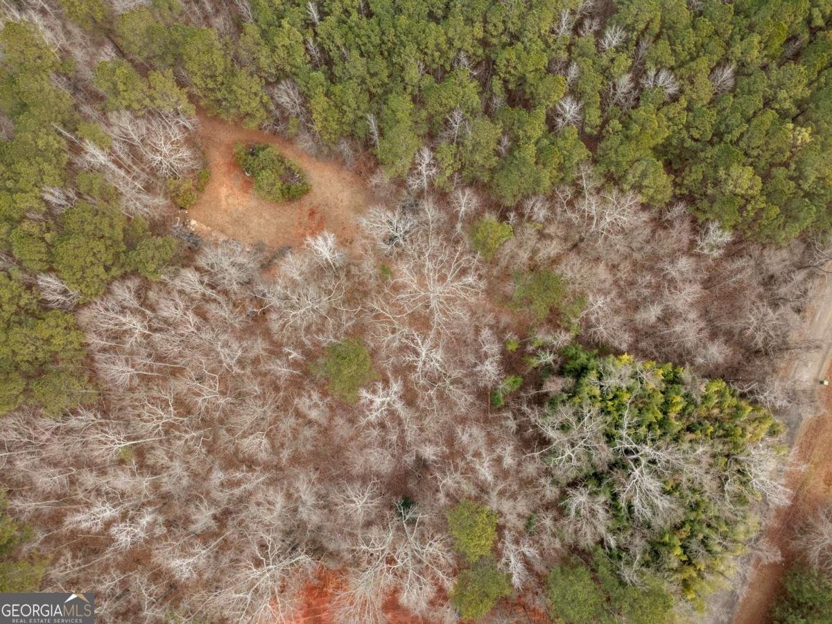 8455 Ono Road Palmetto - Photo 44