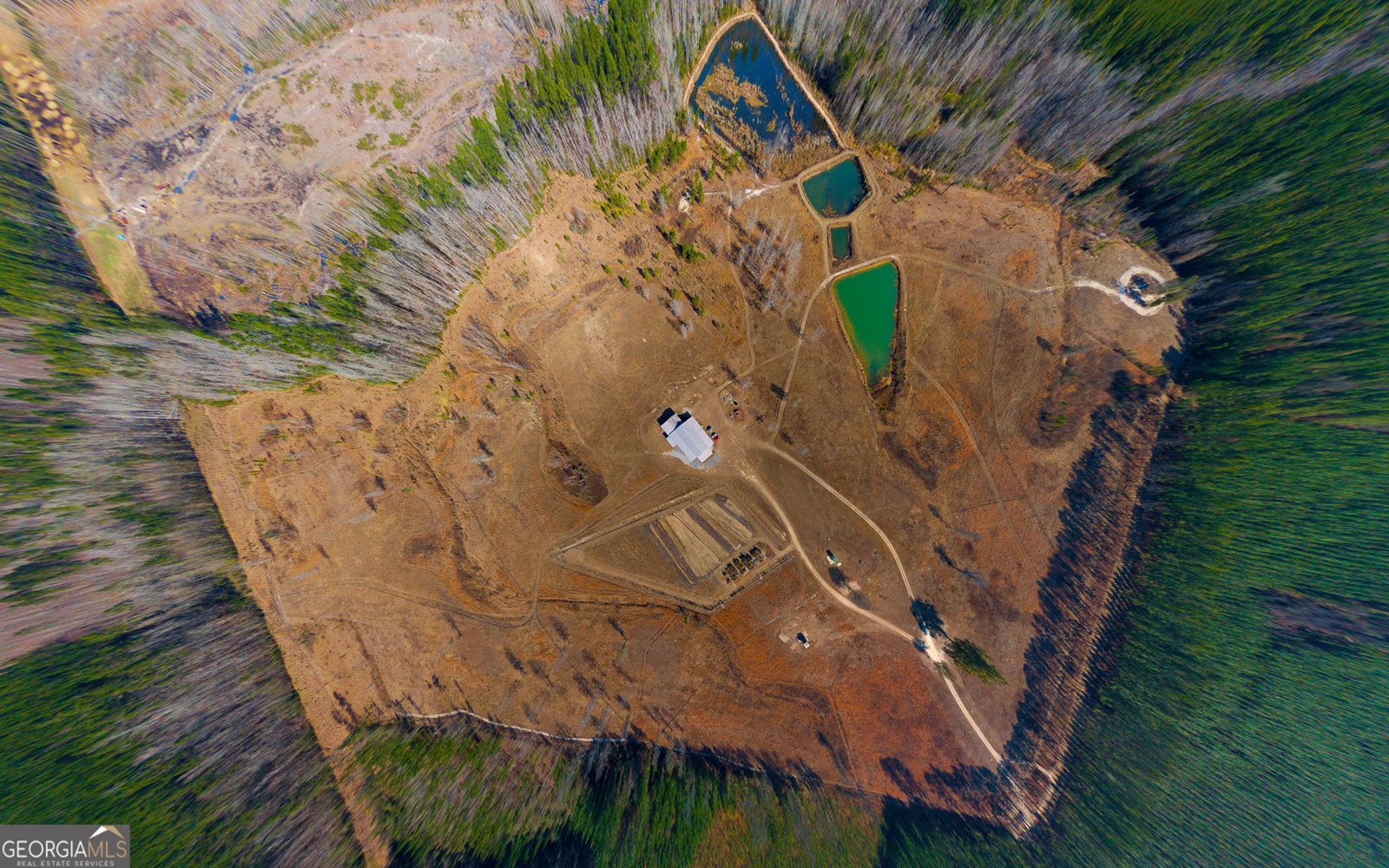 1039 Womack Road Garfield - Photo 1