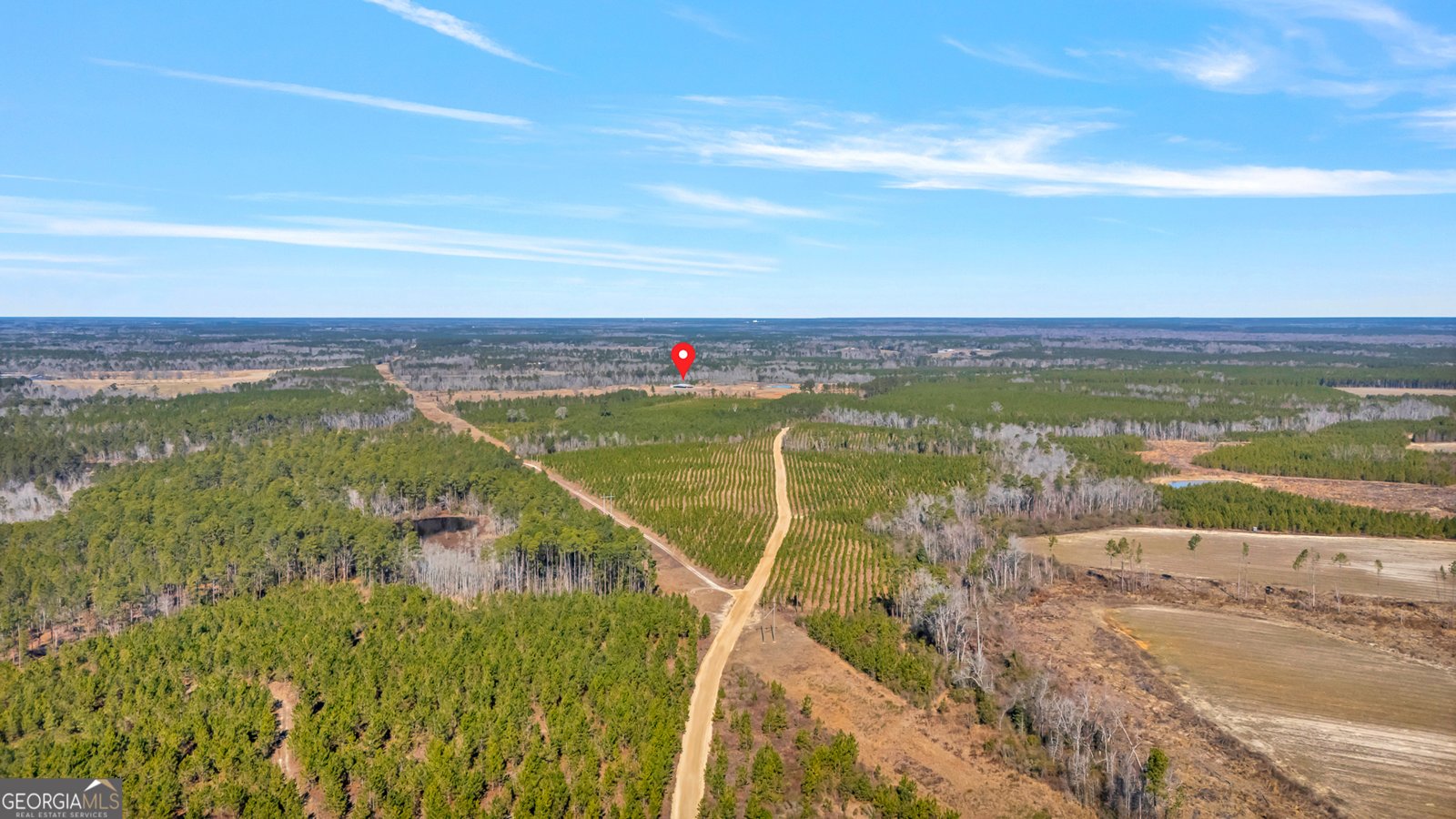 1039 Womack Road Garfield - Photo 54