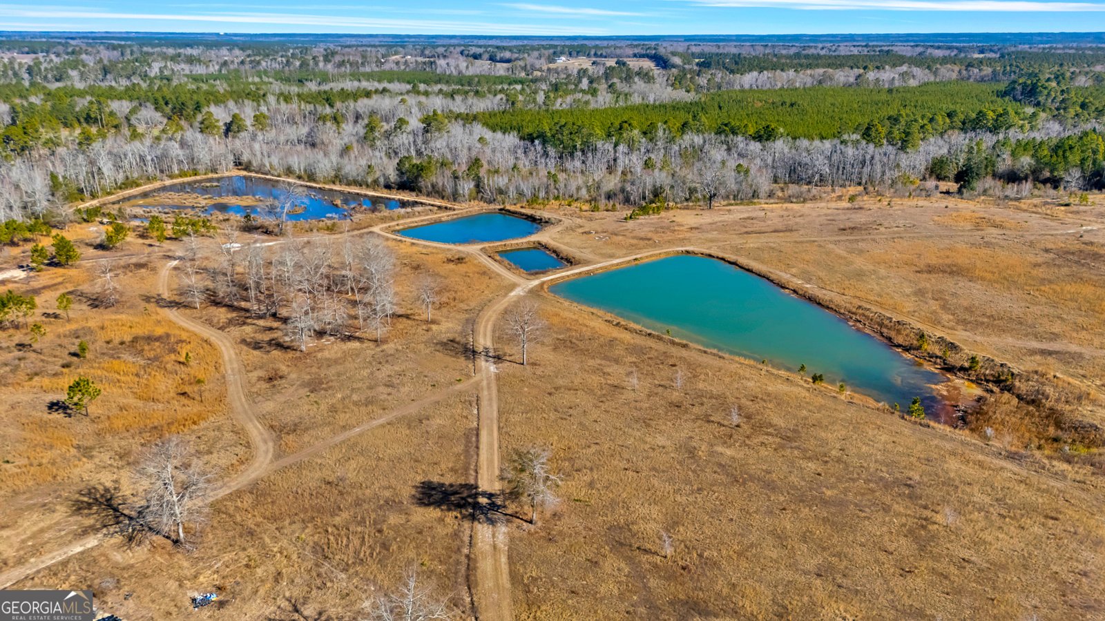 1039 Womack Road Garfield - Photo 6