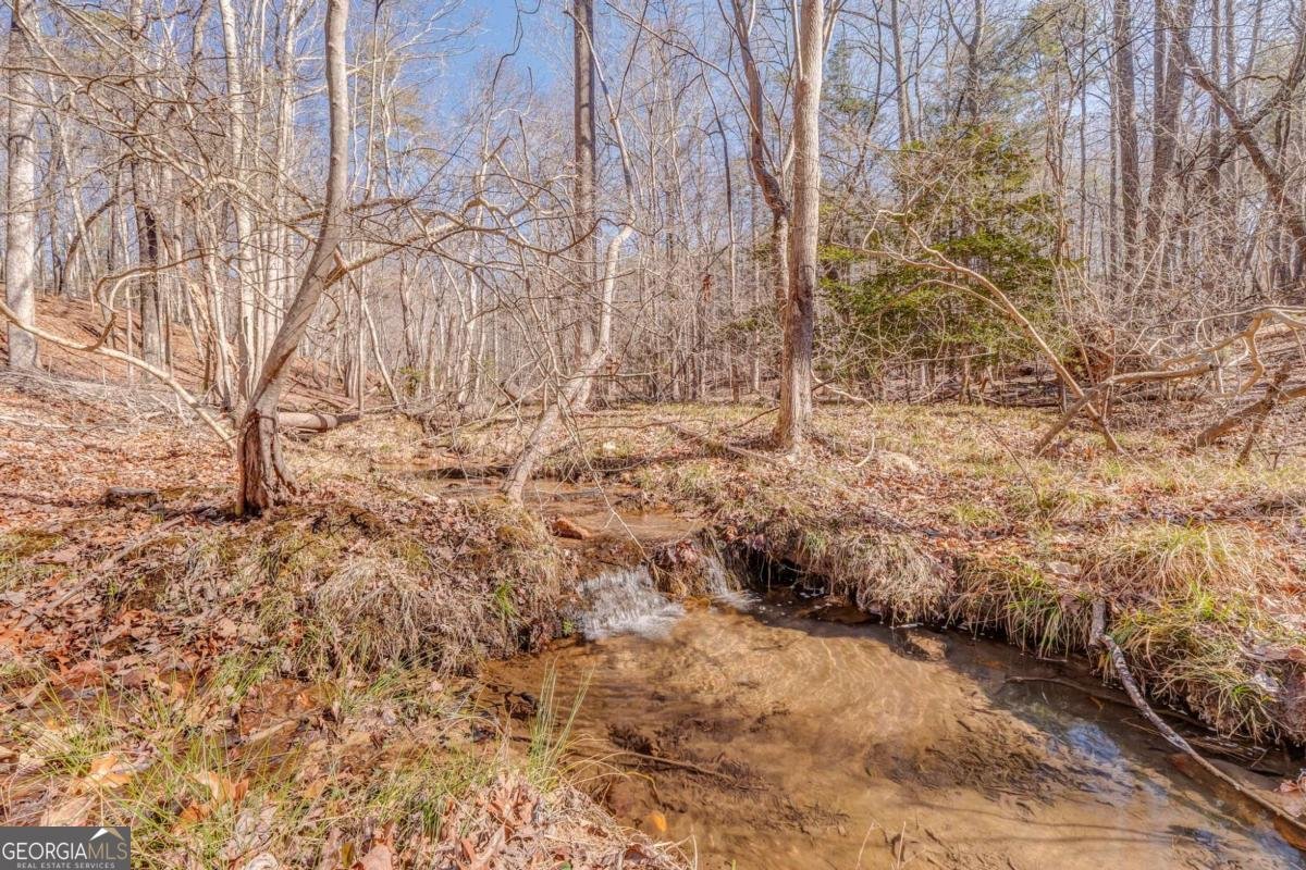 640 Quail Cove Drive Jasper - Photo 59