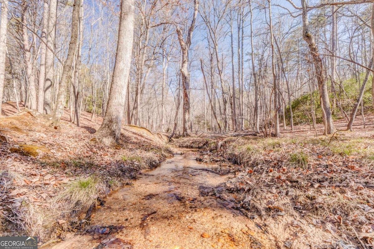 640 Quail Cove Drive Jasper - Photo 64