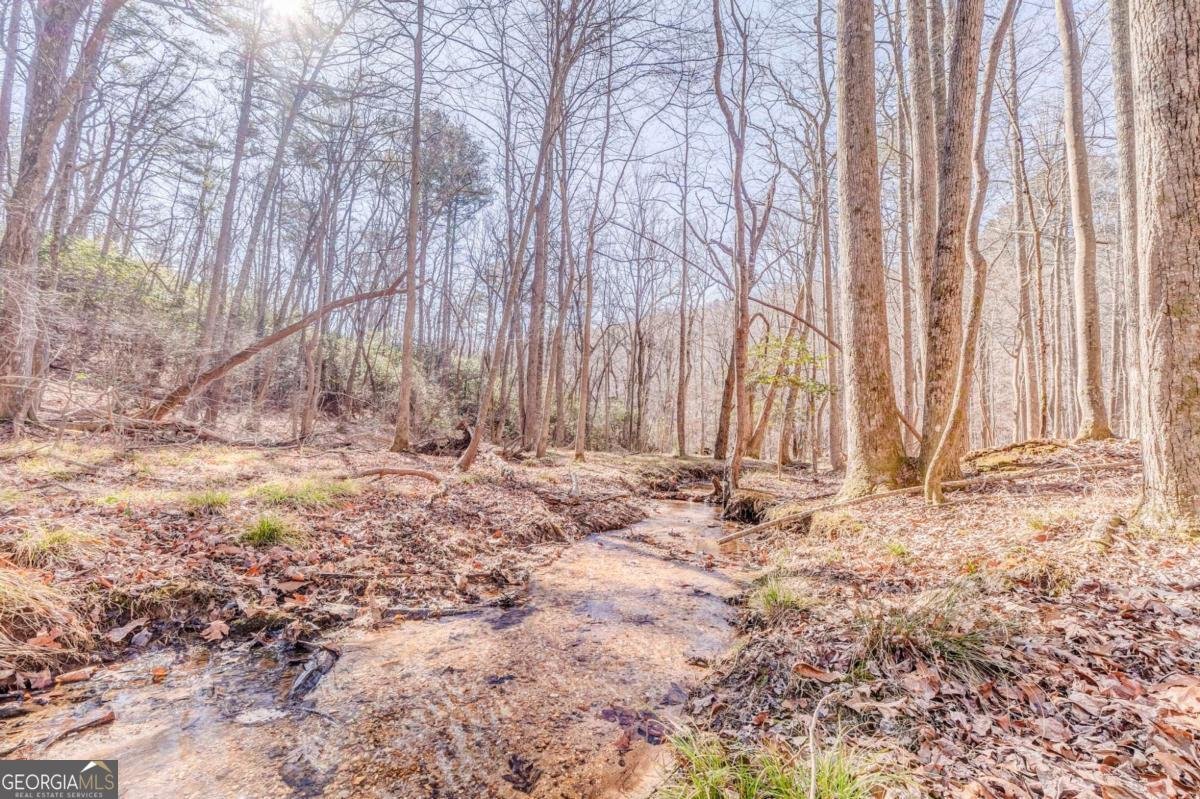 640 Quail Cove Drive Jasper - Photo 65