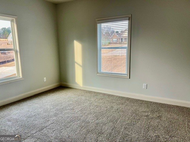 204 Trellis Walk Macon - Photo 19