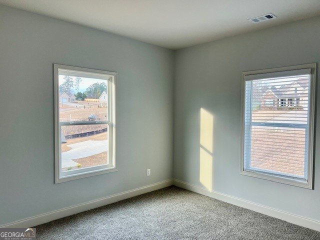 204 Trellis Walk Macon - Photo 21