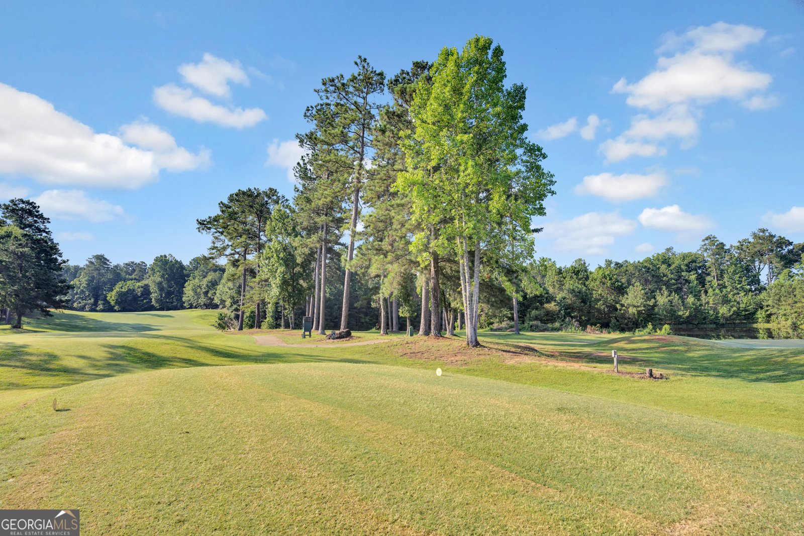 204 Trellis Walk Macon - Photo 33