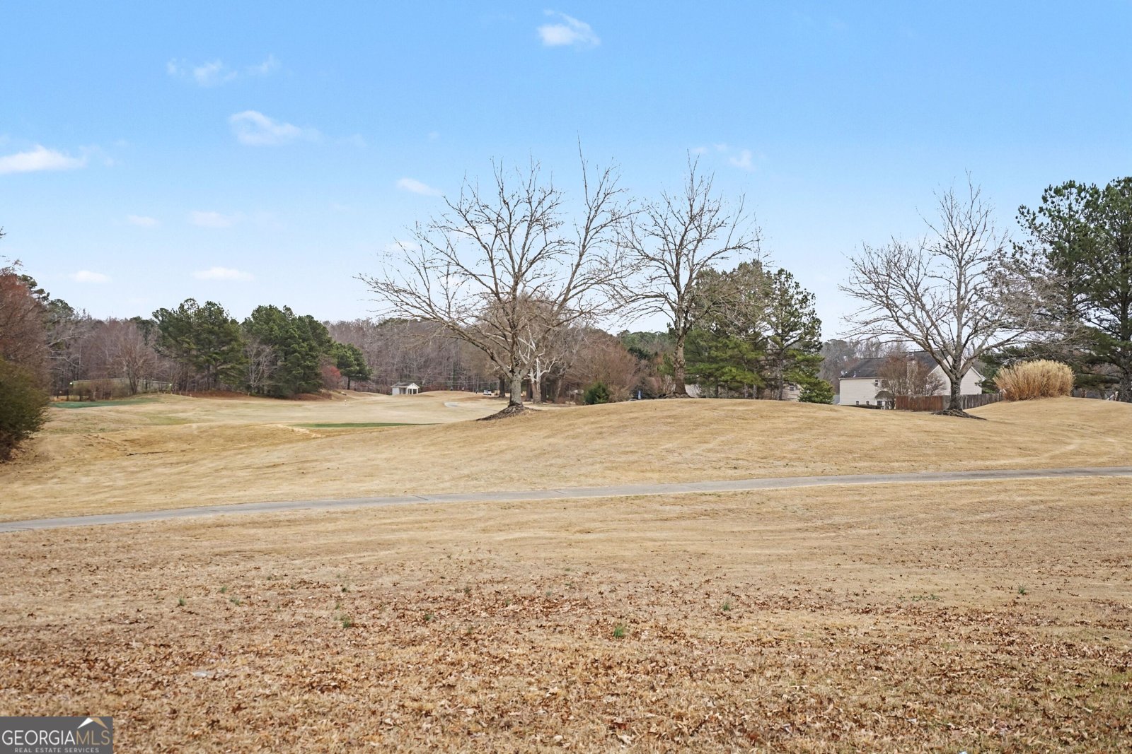 3382 Sandwedge Court Snellville - Photo 38