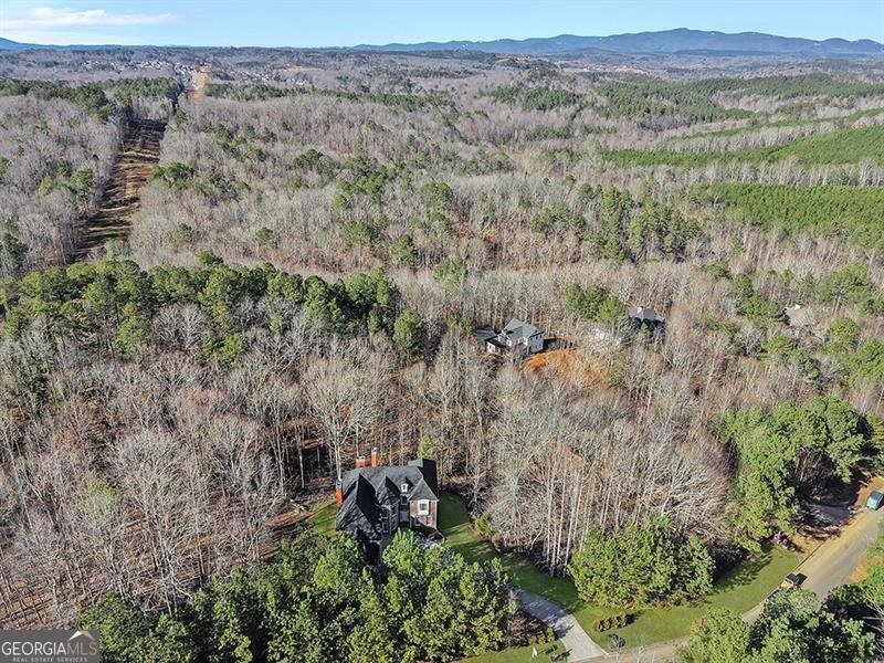 129 Preserve Parkway Ball Ground - Photo 69