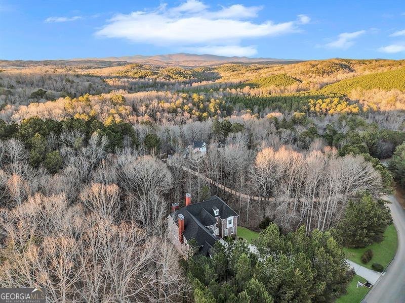 129 Preserve Parkway Ball Ground - Photo 70