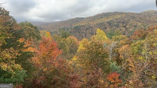 101 Falling Rock Road Blue Ridge - Photo 53