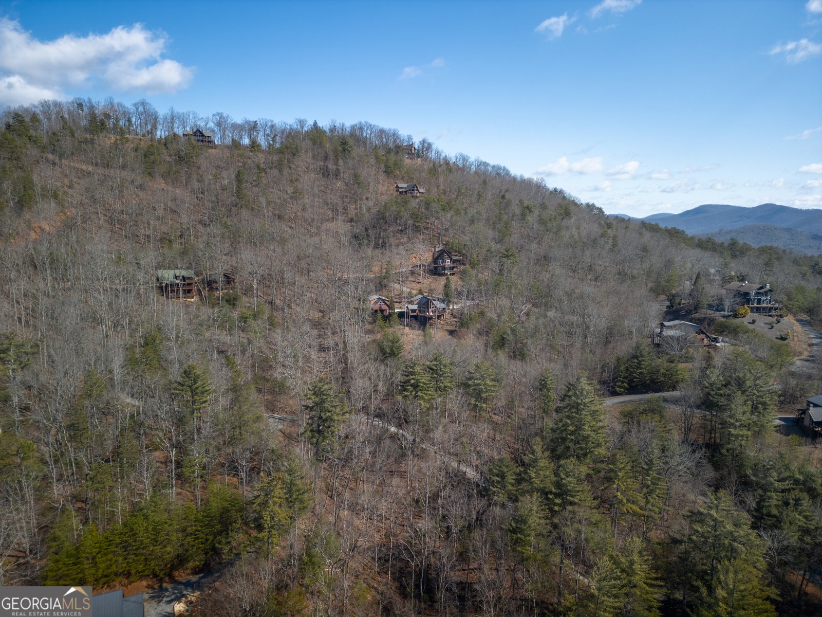 101 Falling Rock Road Blue Ridge - Photo 61
