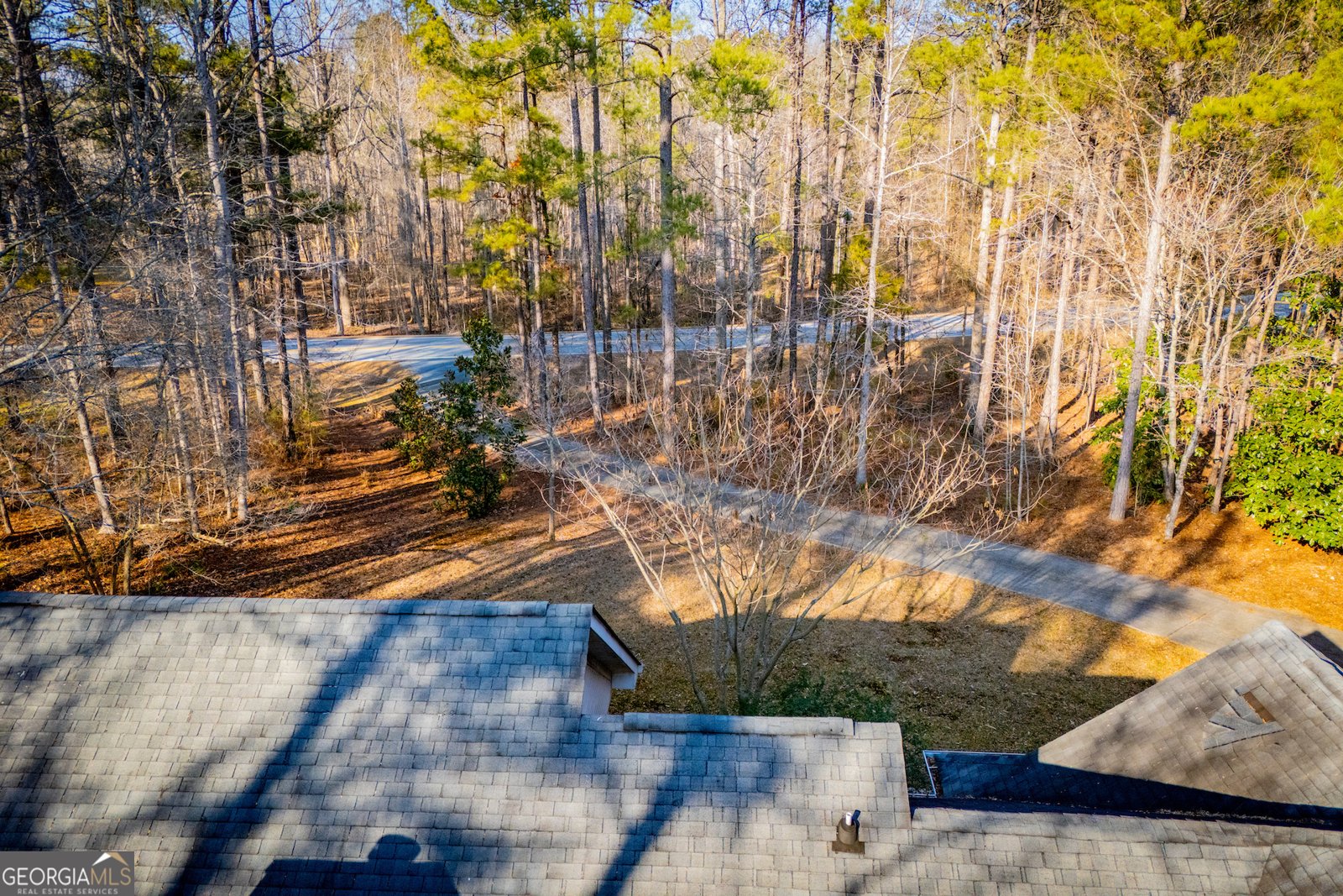 1144 Jim Starr Road Newnan - Photo 63