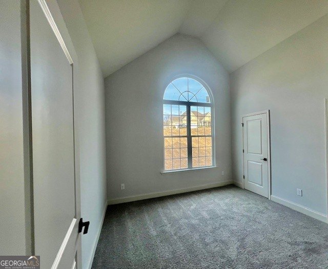 208 Trellis Walk Macon - Photo 28