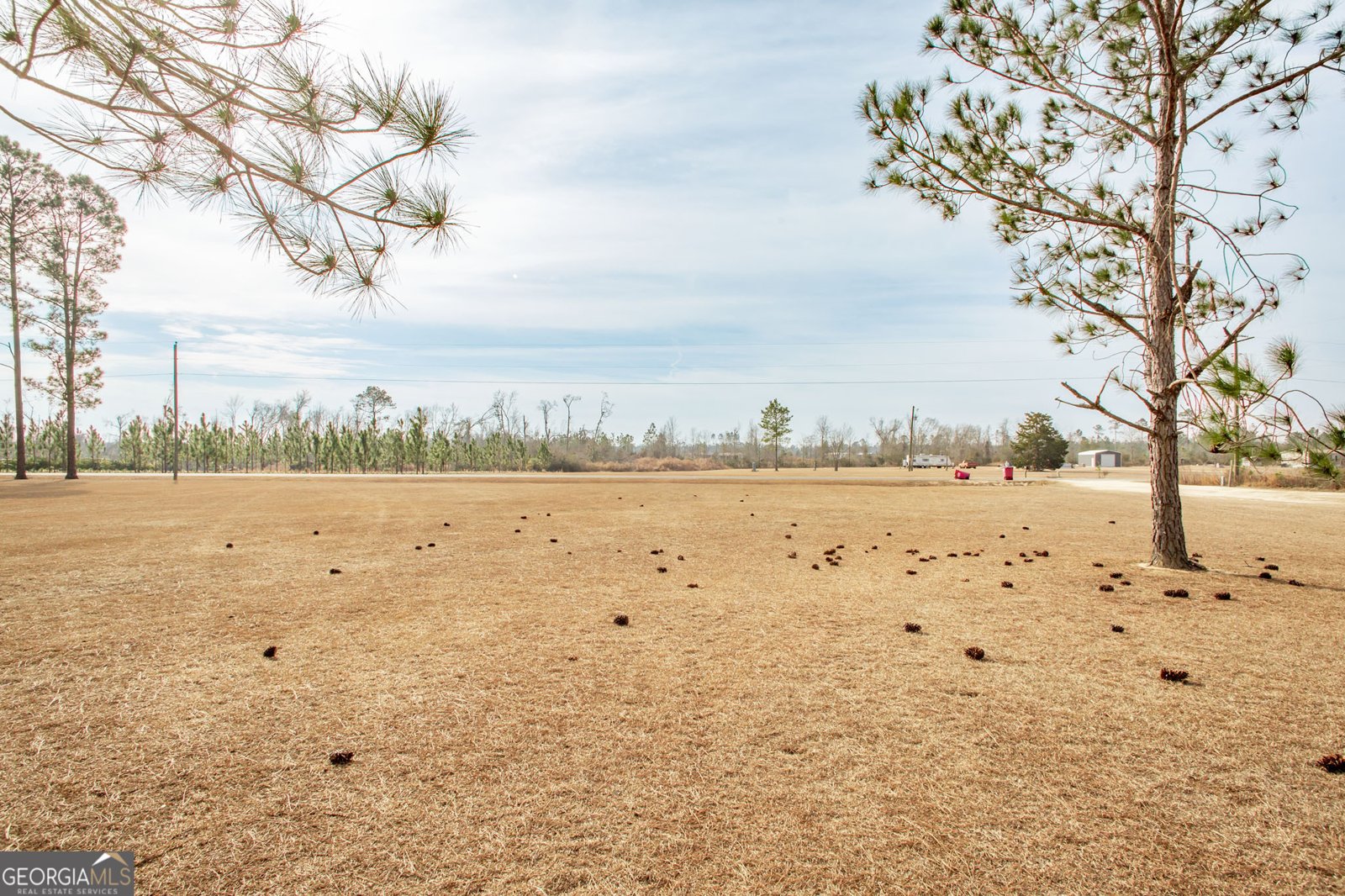 325 New Hope Church Road Alma - Photo 15