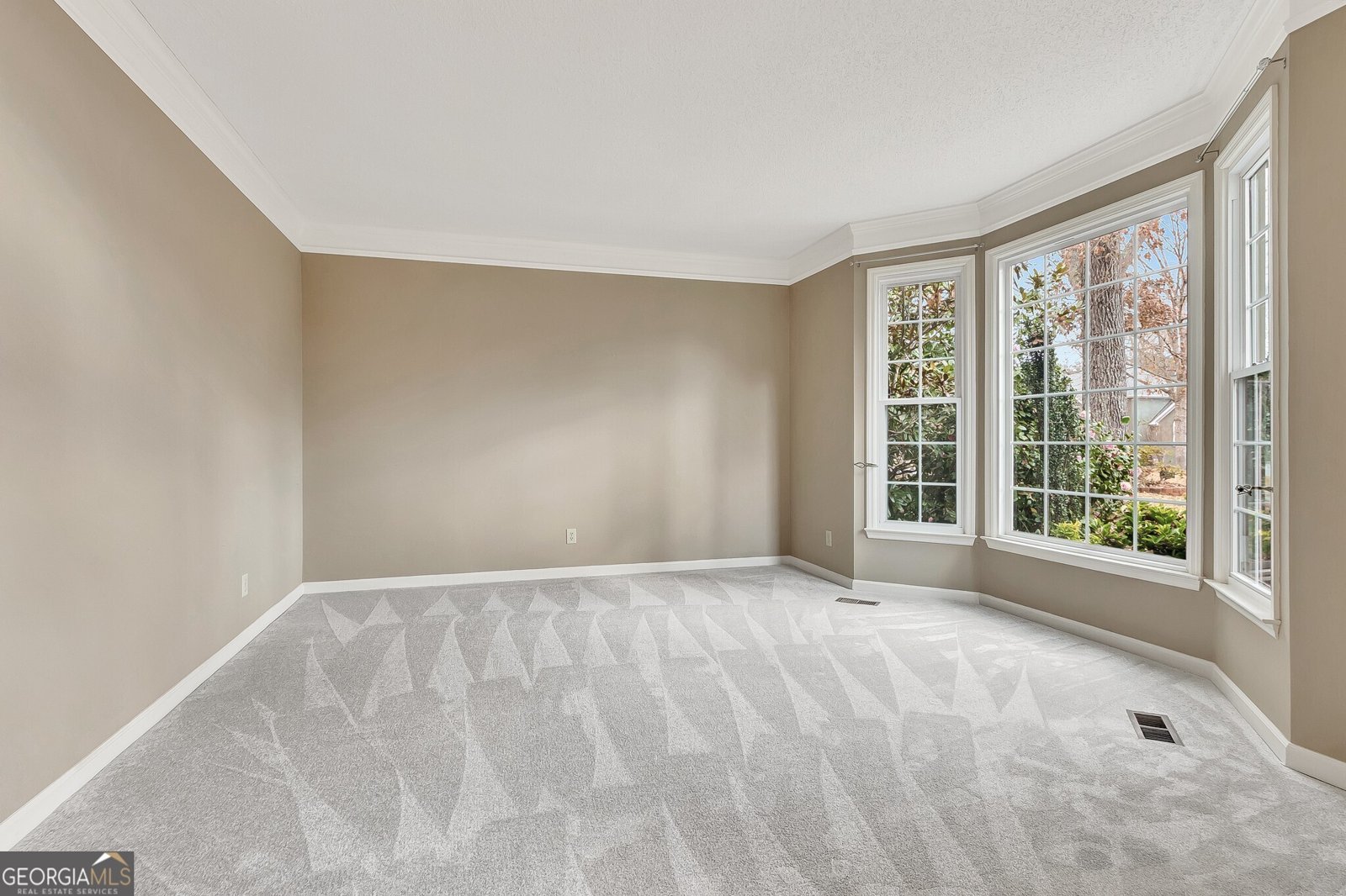 313 Evian Way Peachtree City - Photo 6