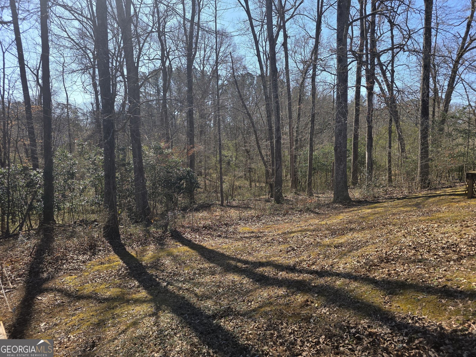 3605 Riverchase Court Decatur - Photo 15