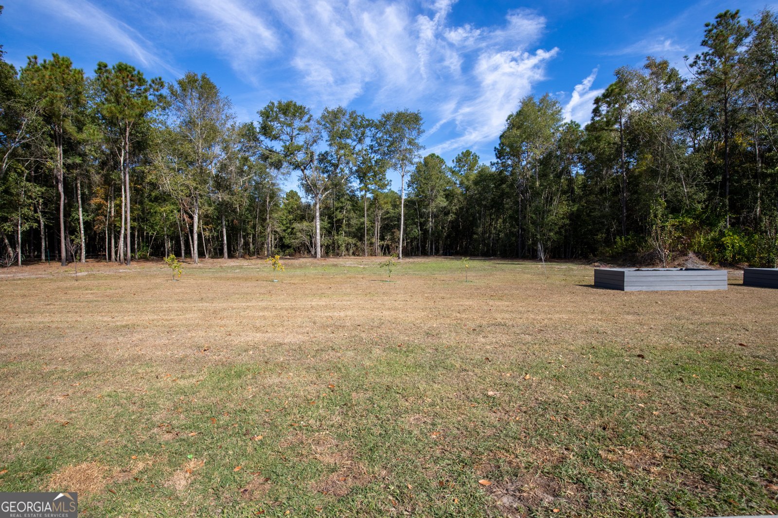 650 Linden Drive Jesup - Photo 26