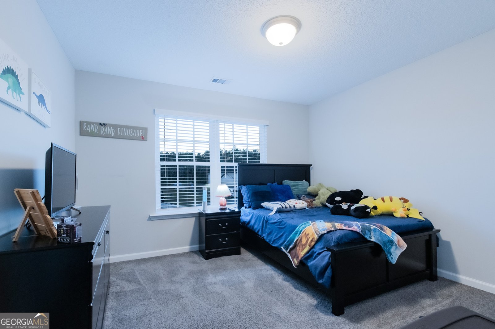 118 Loganberry Lane Ludowici - Photo 35