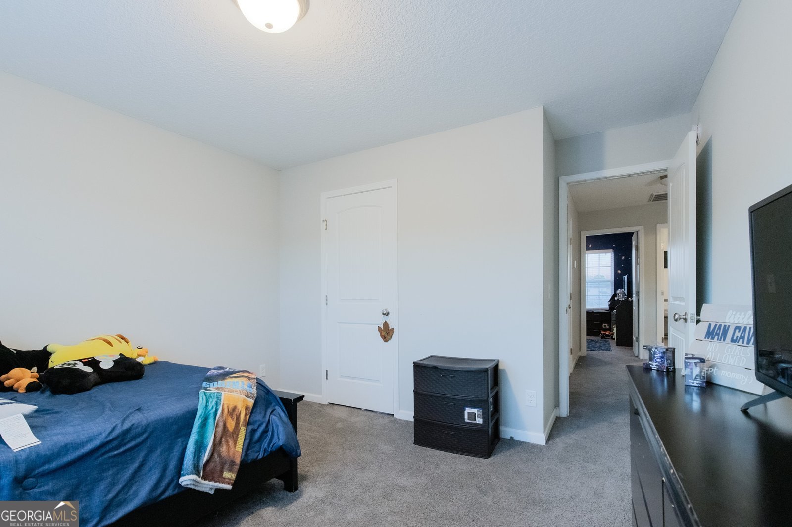 118 Loganberry Lane Ludowici - Photo 36