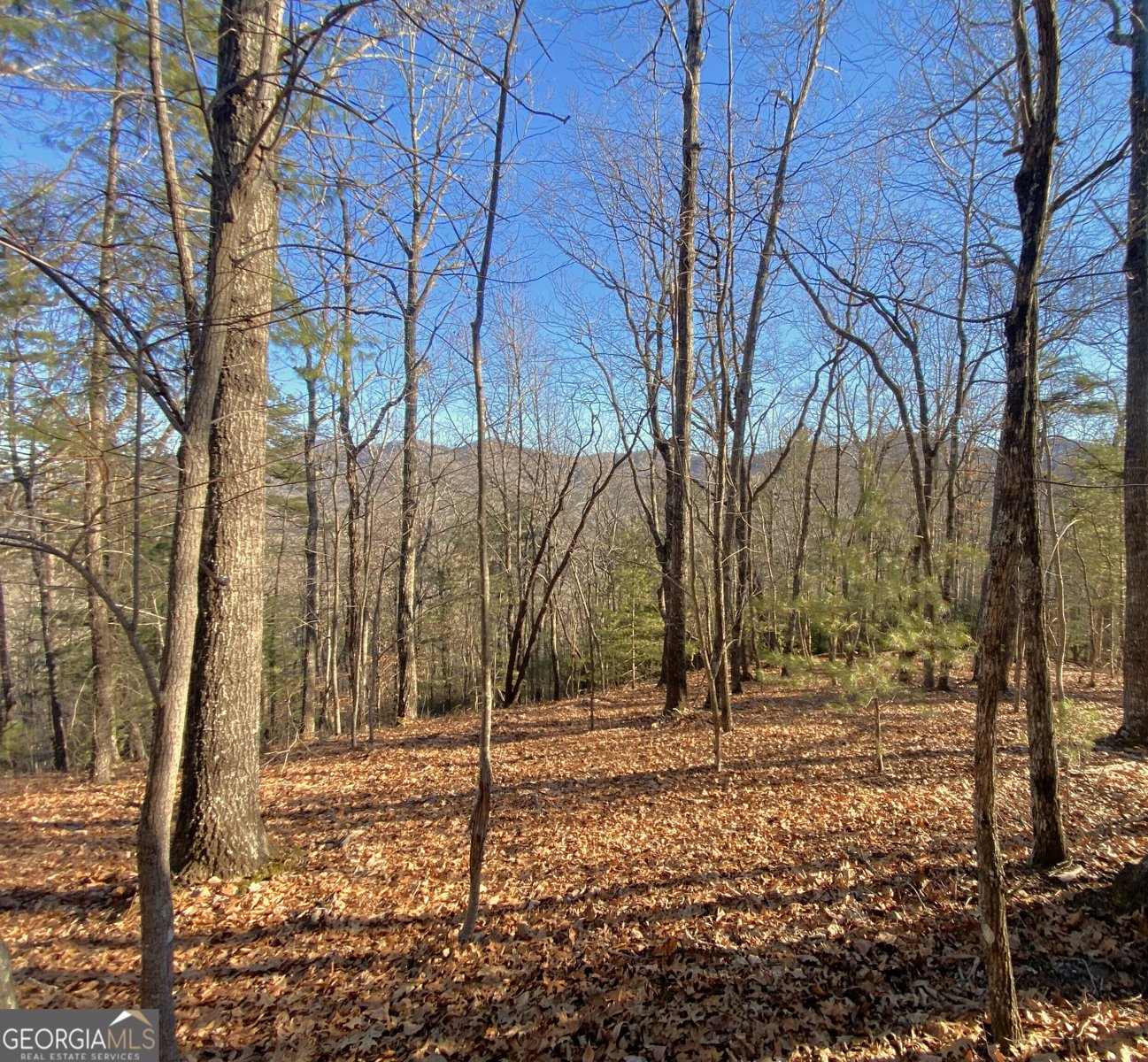 601 Skeenah Springs Road Blairsville - Photo 30