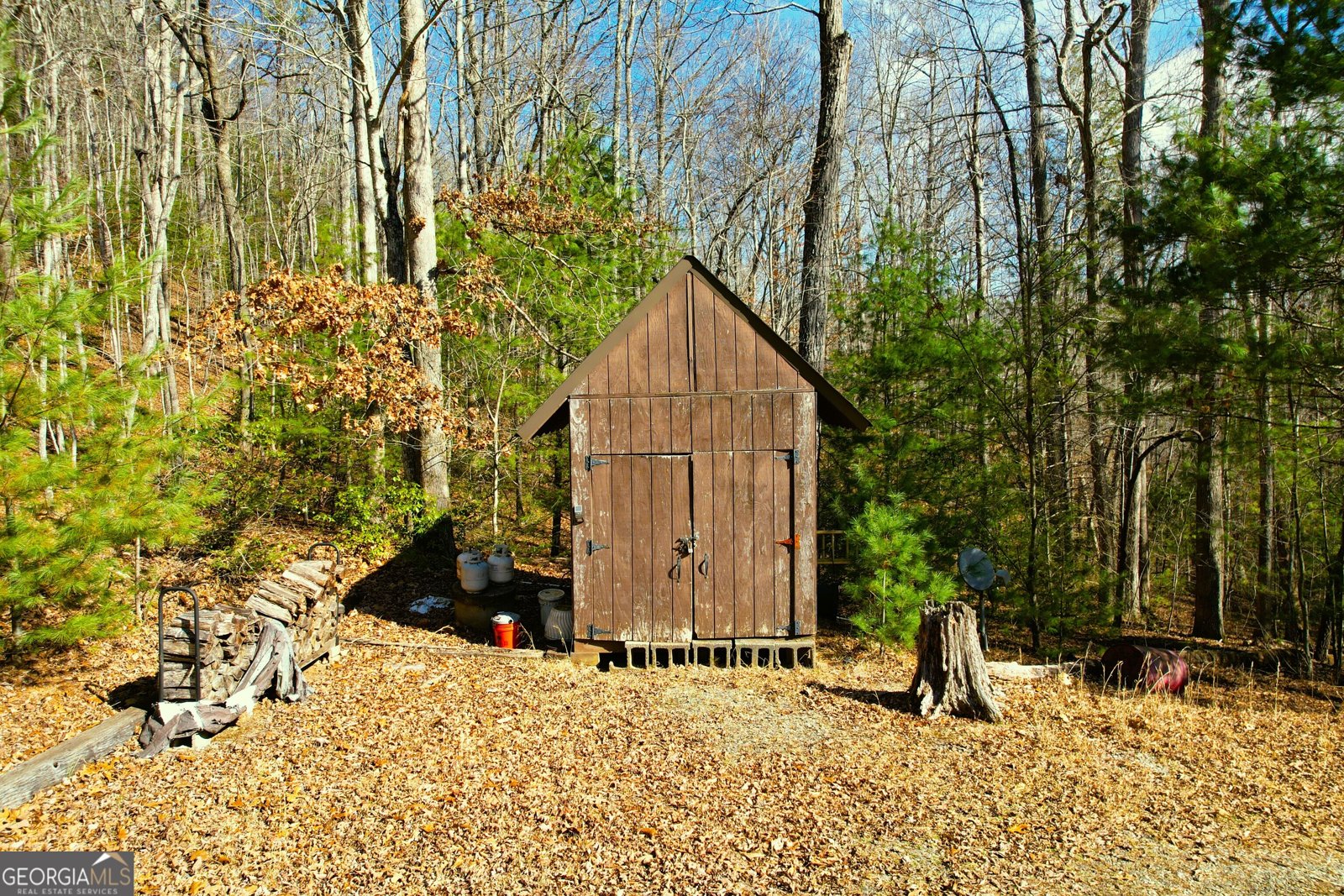 601 Skeenah Springs Road Blairsville - Photo 31