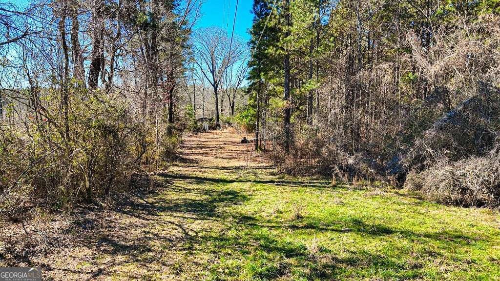 1013 Veterans Parkway Barnesville - Photo 8