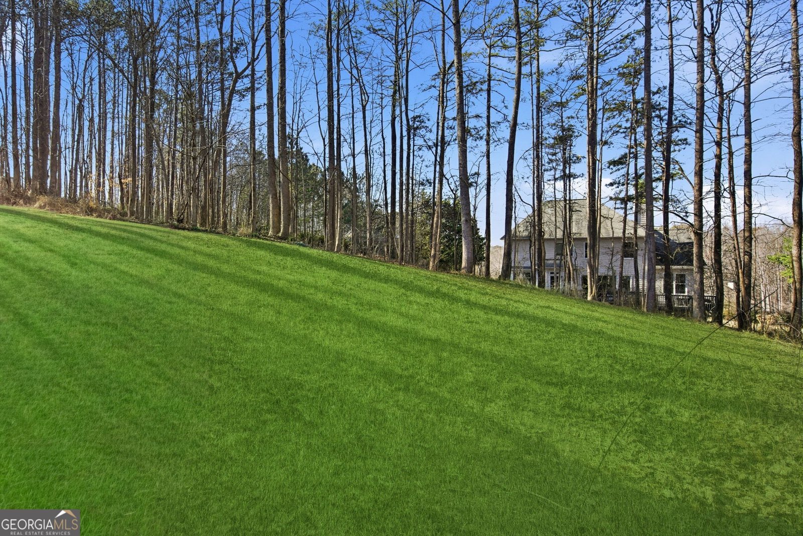 9240 Old Preserve Trail Ball Ground - Photo 44